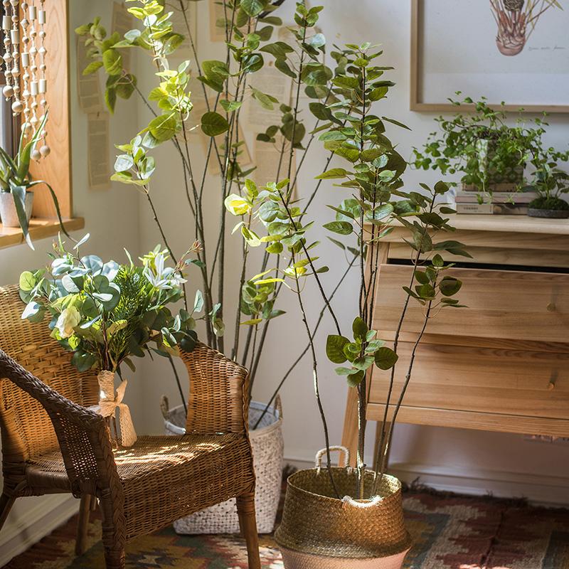 
                      
                        RusticReach Artificial Silk Bauhinia Tree In Pot - lily & onyx
                      
                    