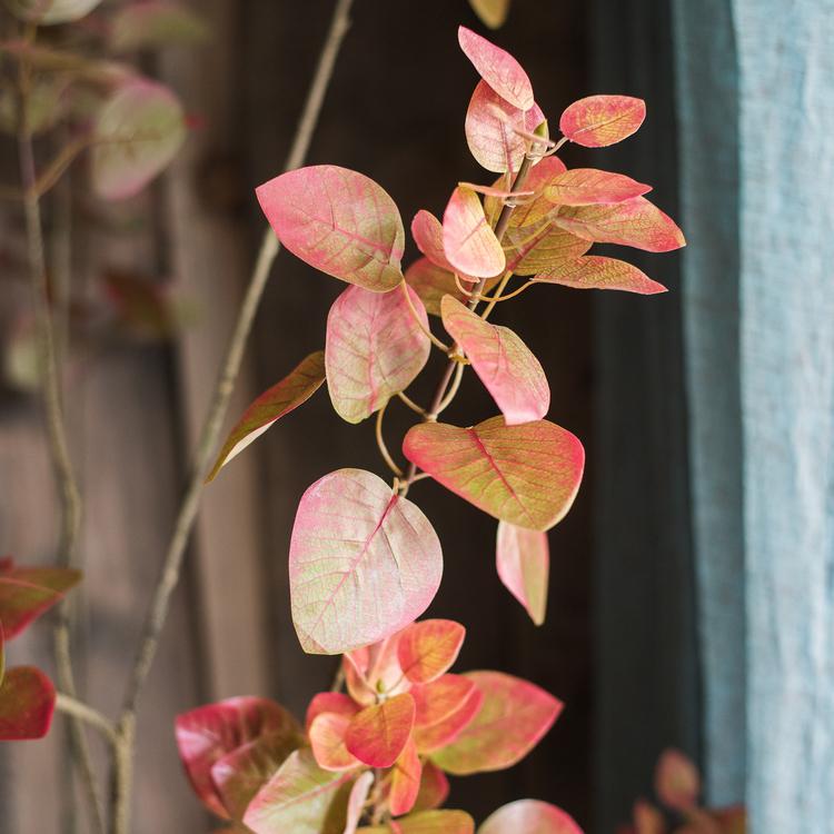 
                      
                        RusticReach Artificial Silk Bauhinia Tree In Pot - lily & onyx
                      
                    