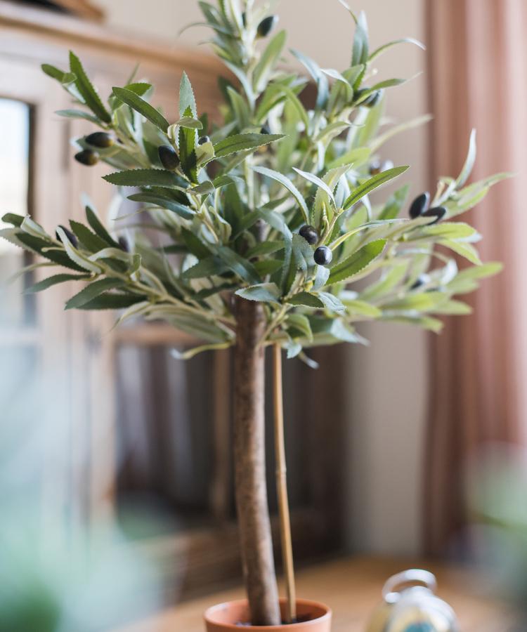 
                      
                        Artificial Faux Small 24" Tall Olive Tree
                      
                    