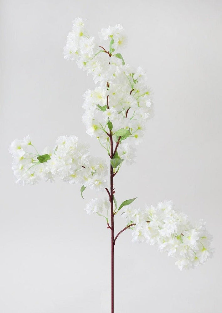 
                      
                        Afloral Artificial Spring Cherry Blossoms in Cream, 40" - lily & onyx
                      
                    