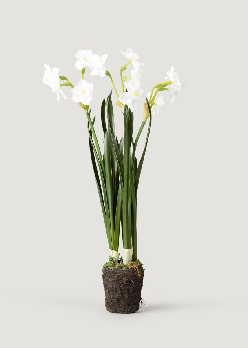 Afloral Artificial Spring Paperwhite Drop - In Plant - 17" - lily & onyx
