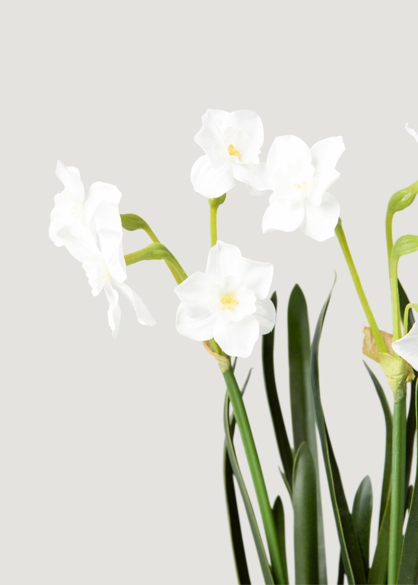 Afloral Artificial Spring Paperwhite Drop - In Plant - 17" - lily & onyx