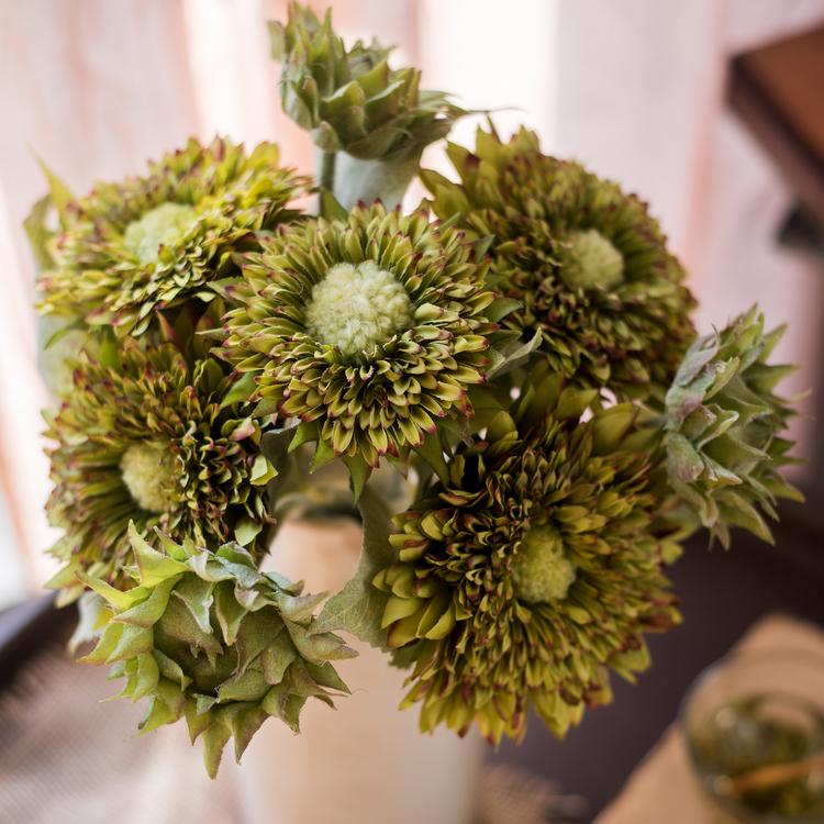 
                      
                        Artificial Sunflower Bouquet in Green or Orange, 18" Tall
                      
                    