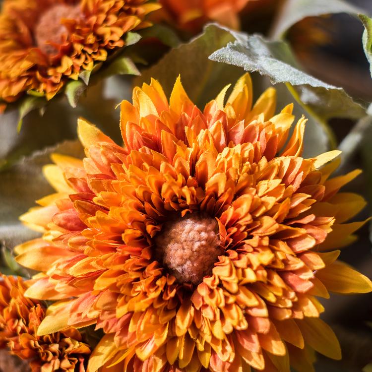 
                      
                        Artificial Sunflower Bouquet in Green or Orange, 18" Tall
                      
                    