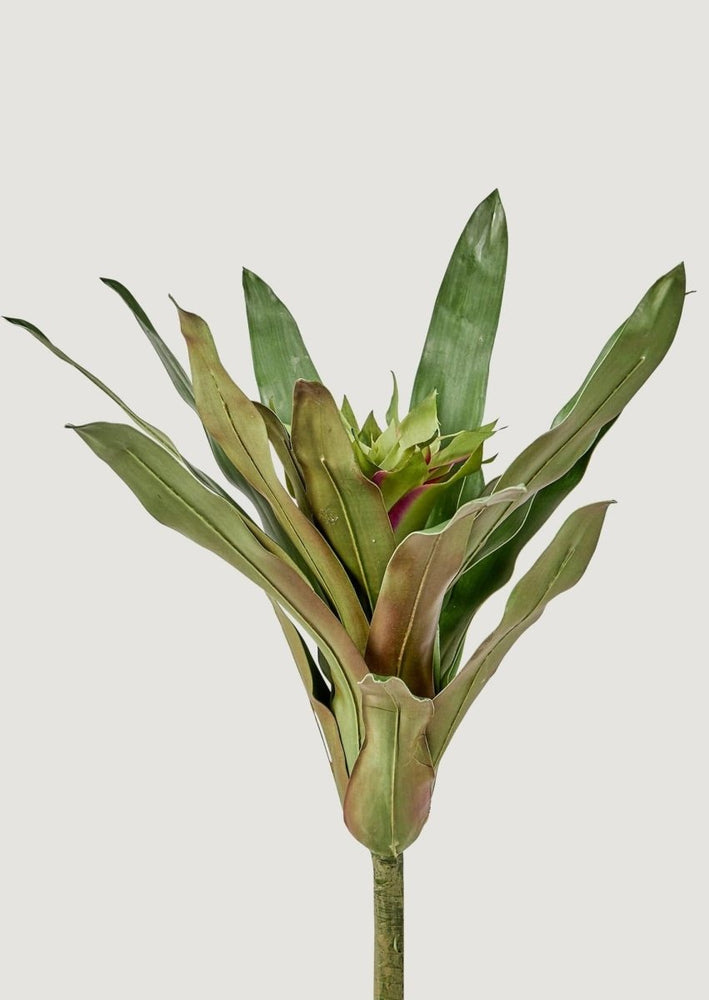 
                      
                        Afloral Artificial Tropical Bromeliad Plant in Green, 20" - lily & onyx
                      
                    