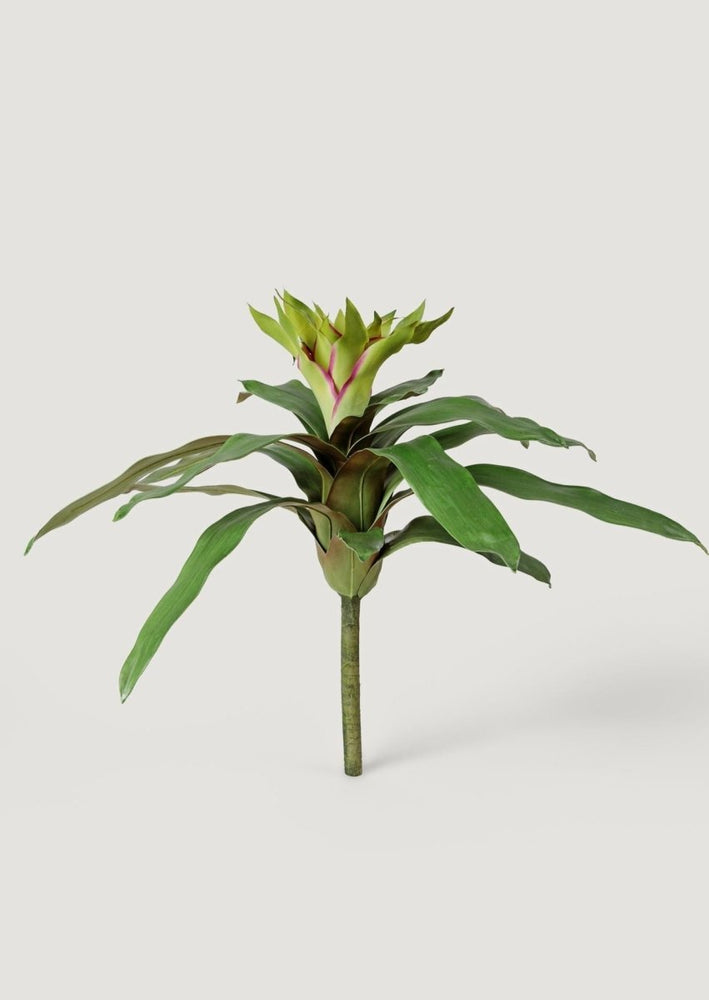 
                      
                        Afloral Artificial Tropical Bromeliad Plant in Green, 20" - lily & onyx
                      
                    