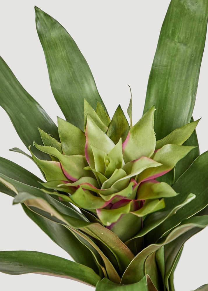 
                      
                        Afloral Artificial Tropical Bromeliad Plant in Green, 20" - lily & onyx
                      
                    