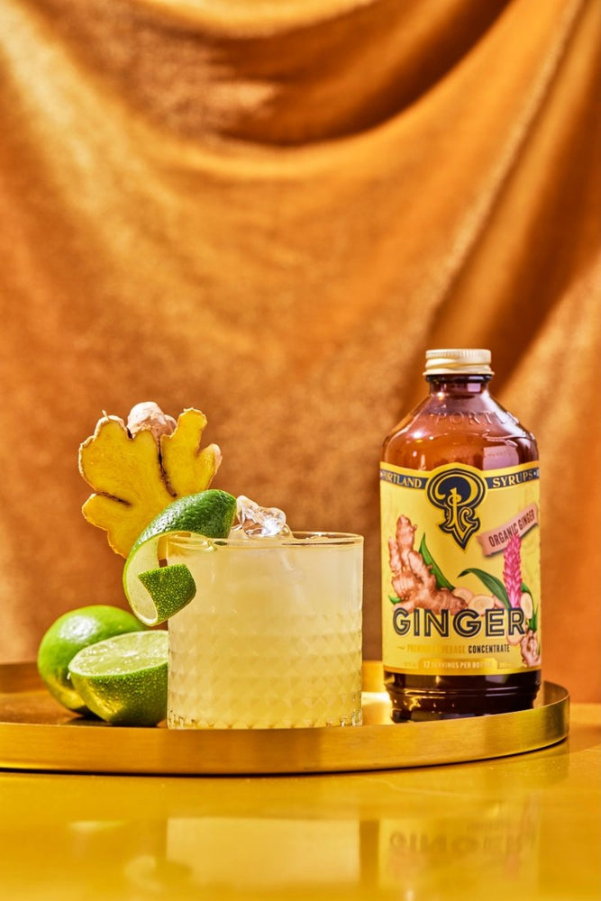 
                      
                        Portland Syrups Authentic Ginger Syrup, 2 Pack - lily & onyx
                      
                    