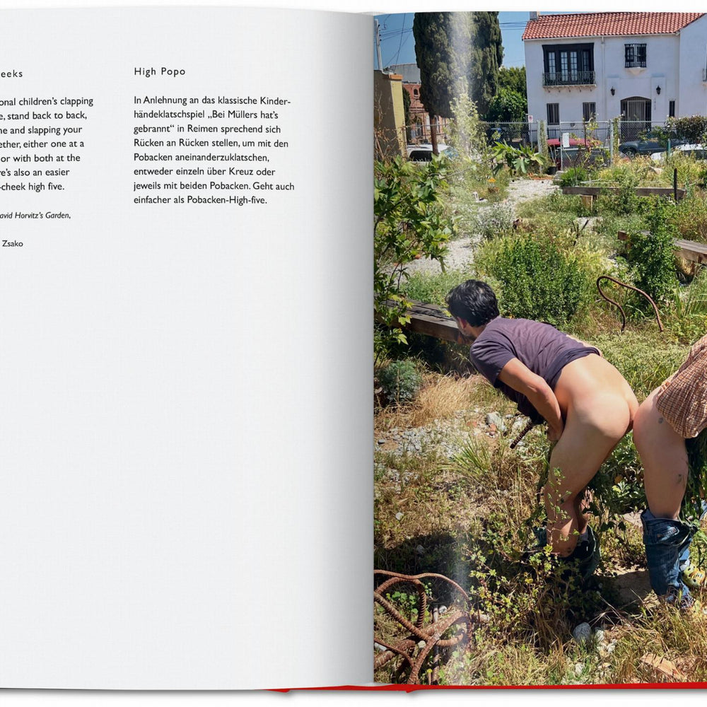 
                      
                        Carsten Höller. Book of Games (German, French, English)
                      
                    