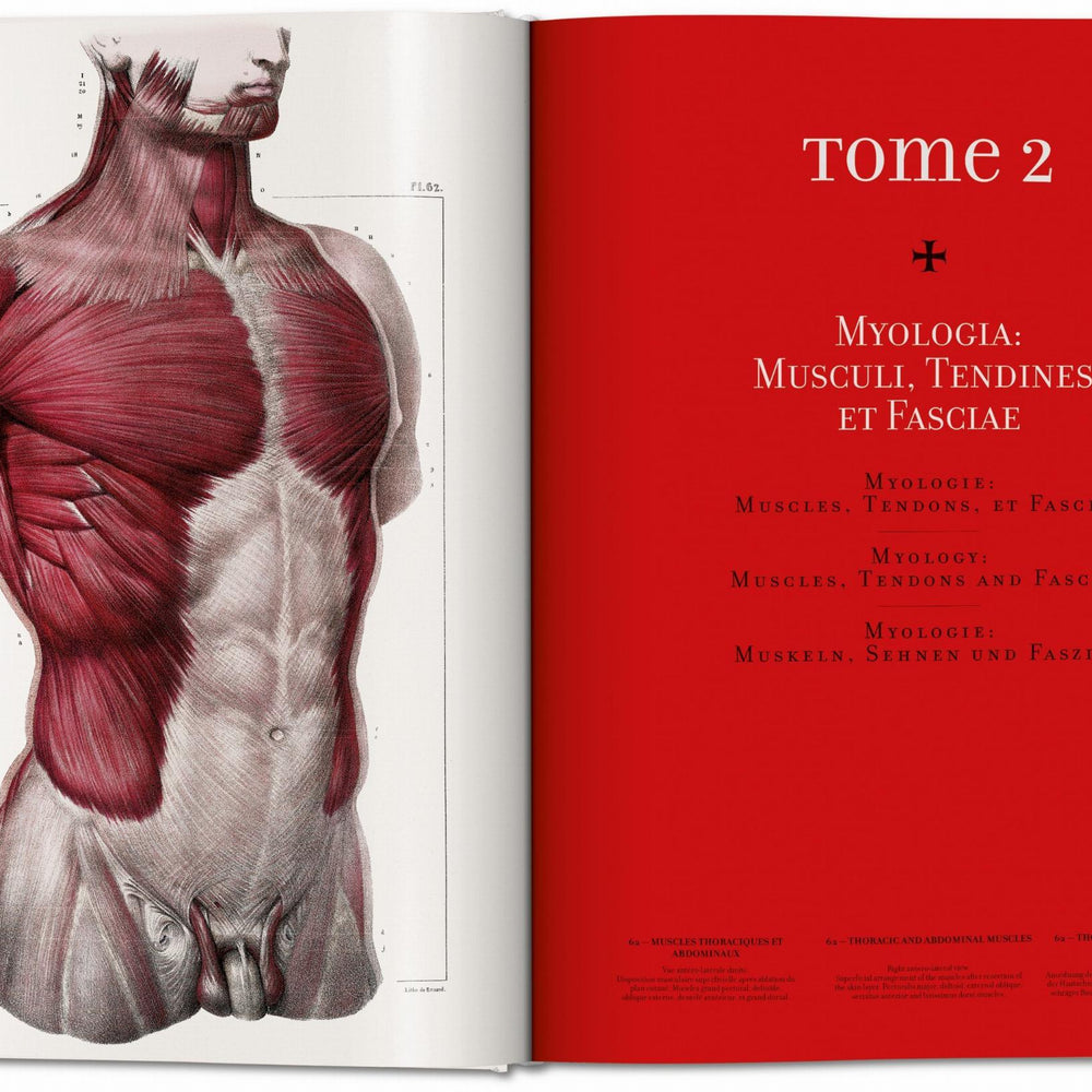
                      
                        Bourgery. Atlas of Human Anatomy and Surgery (German, French, English)
                      
                    