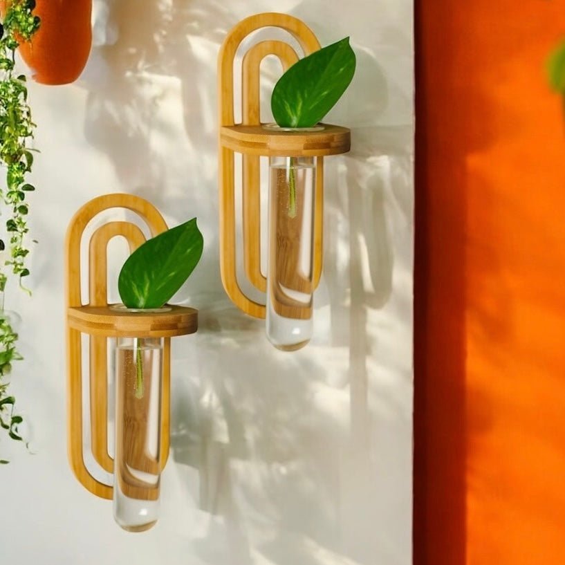Bamboo Switch Bamboo Propagation Wall Hanger - lily & onyx