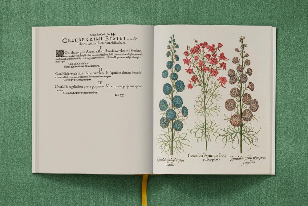 
                      
                        TASCHEN Basilius Besler. The Garden at Eichstätt (German, French, English) (FFE) - lily & onyx
                      
                    