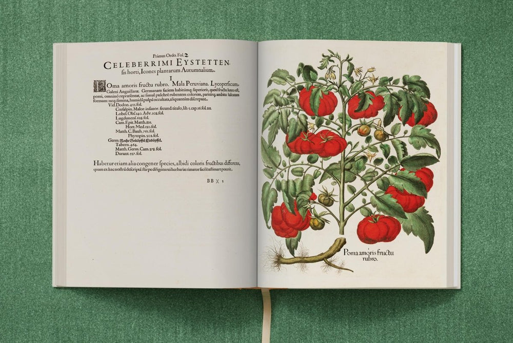 
                      
                        TASCHEN Basilius Besler. The Garden at Eichstätt (German, French, English) (FFE) - lily & onyx
                      
                    