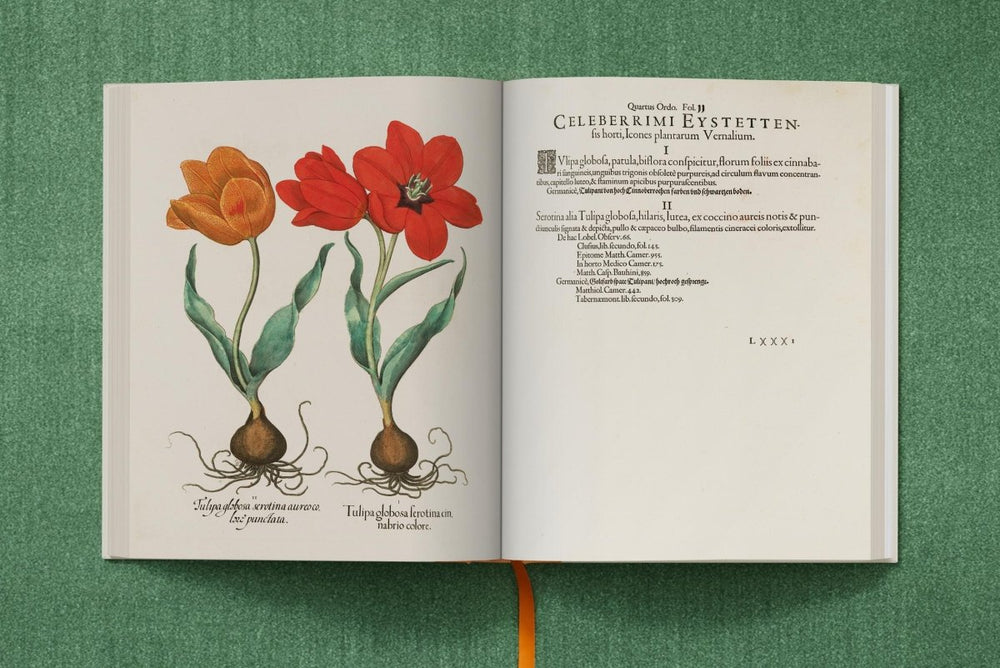 
                      
                        TASCHEN Basilius Besler. The Garden at Eichstätt (German, French, English) (FFE) - lily & onyx
                      
                    