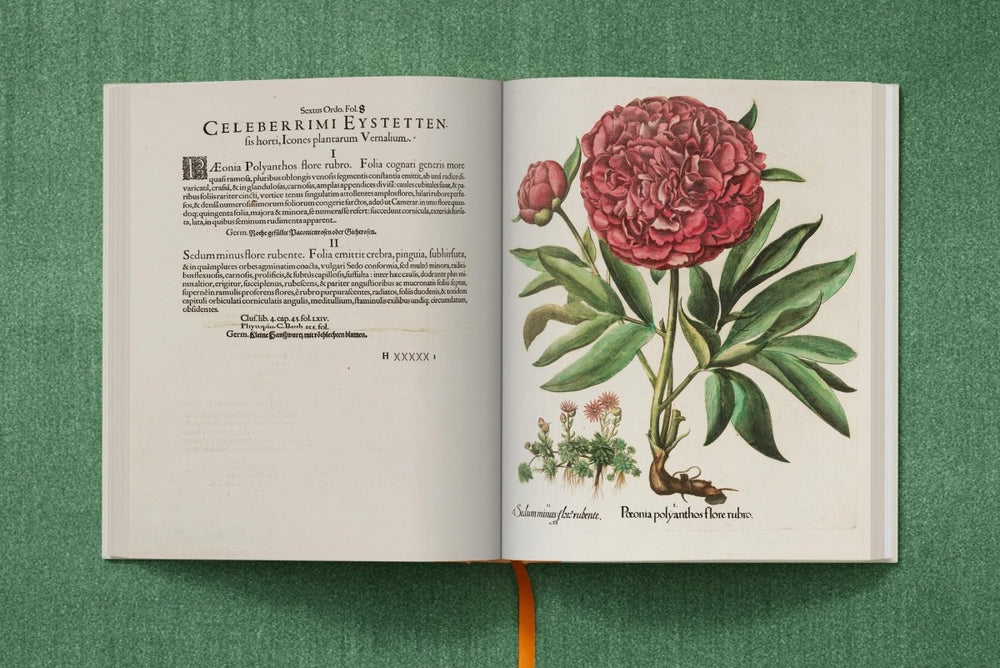 
                      
                        TASCHEN Basilius Besler. The Garden at Eichstätt (German, French, English) (FFE) - lily & onyx
                      
                    