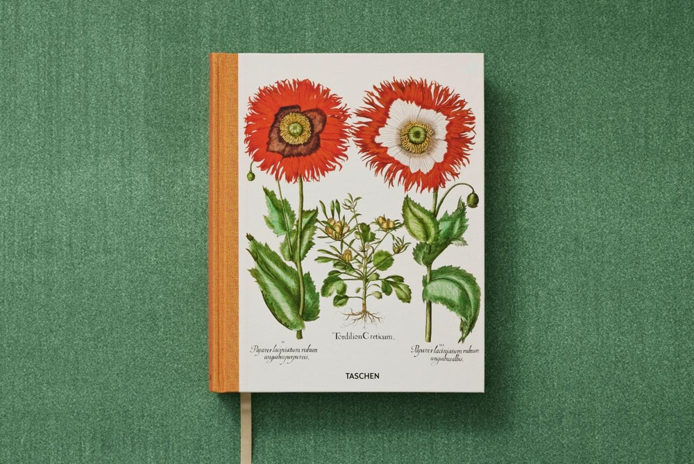 
                      
                        TASCHEN Basilius Besler. The Garden at Eichstätt (German, French, English) (FFE) - lily & onyx
                      
                    