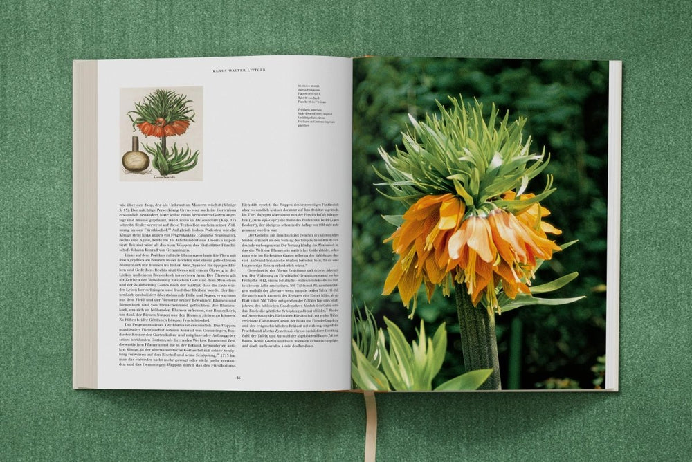 
                      
                        TASCHEN Basilius Besler. The Garden at Eichstätt (German, French, English) (FFE) - lily & onyx
                      
                    