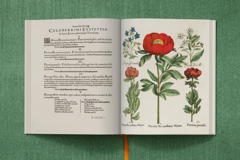 
                      
                        TASCHEN Basilius Besler. The Garden at Eichstätt (German, French, English) (FFE) - lily & onyx
                      
                    