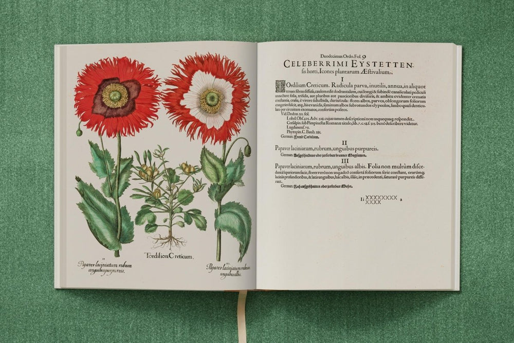 
                      
                        TASCHEN Basilius Besler. The Garden at Eichstätt (German, French, English) (FFE) - lily & onyx
                      
                    