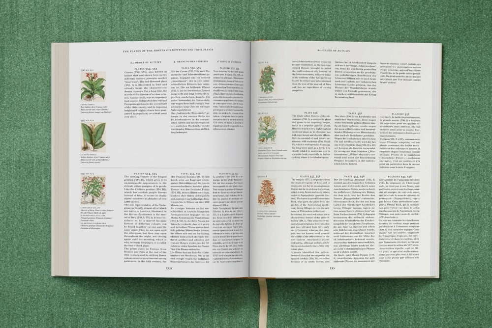 
                      
                        TASCHEN Basilius Besler. The Garden at Eichstätt (German, French, English) (FFE) - lily & onyx
                      
                    