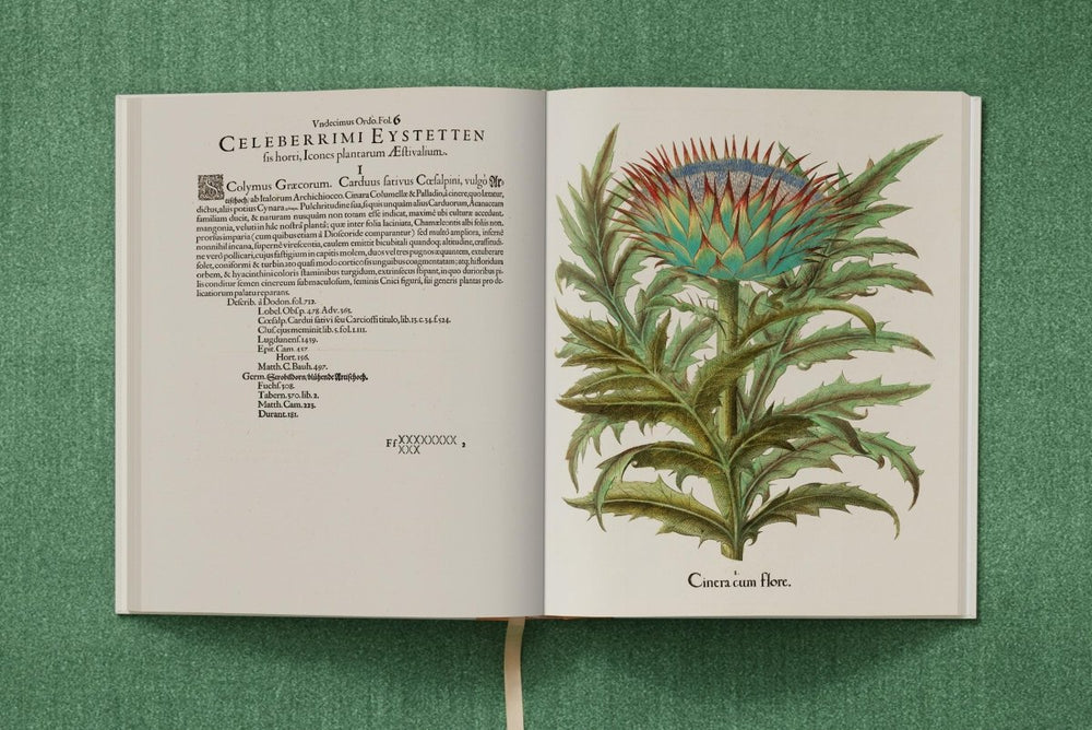 
                      
                        TASCHEN Basilius Besler. The Garden at Eichstätt (German, French, English) (FFE) - lily & onyx
                      
                    