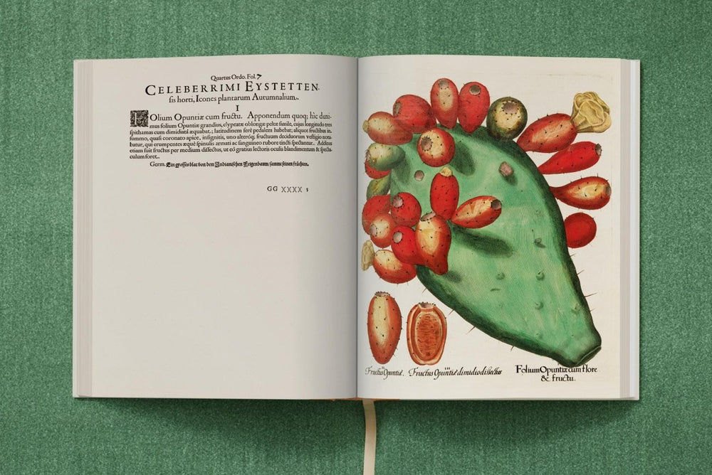 
                      
                        TASCHEN Basilius Besler. The Garden at Eichstätt (German, French, English) (FFE) - lily & onyx
                      
                    