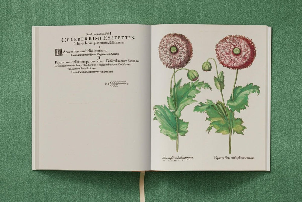 
                      
                        TASCHEN Basilius Besler. The Garden at Eichstätt (German, French, English) (FFE) - lily & onyx
                      
                    