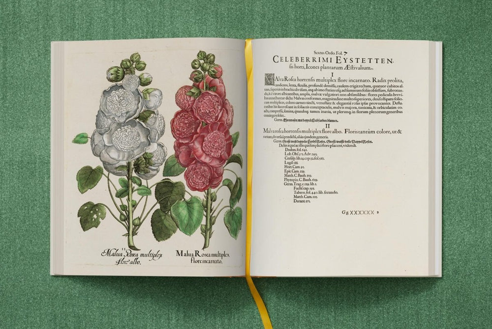 
                      
                        TASCHEN Basilius Besler. The Garden at Eichstätt (German, French, English) (FFE) - lily & onyx
                      
                    