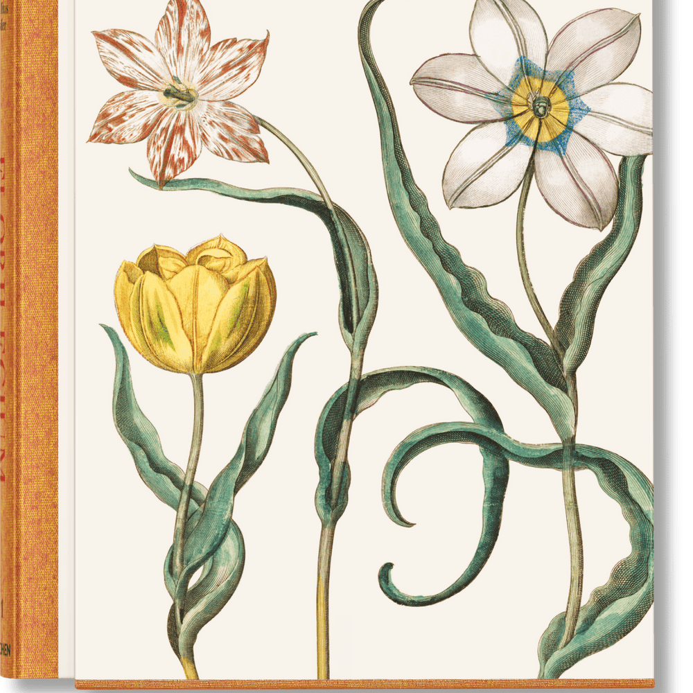 TASCHEN Basilius Besler. The Garden at Eichstätt (German, French, English) (FFE) - lily & onyx