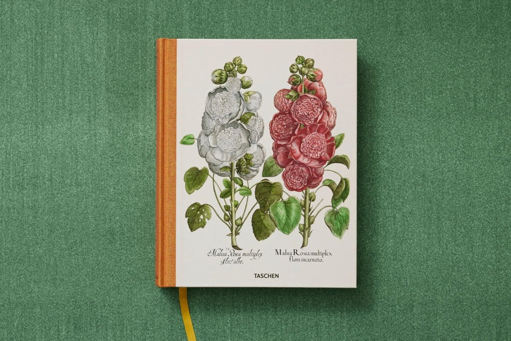 
                      
                        TASCHEN Basilius Besler. The Garden at Eichstätt (German, French, English) (FFE) - lily & onyx
                      
                    