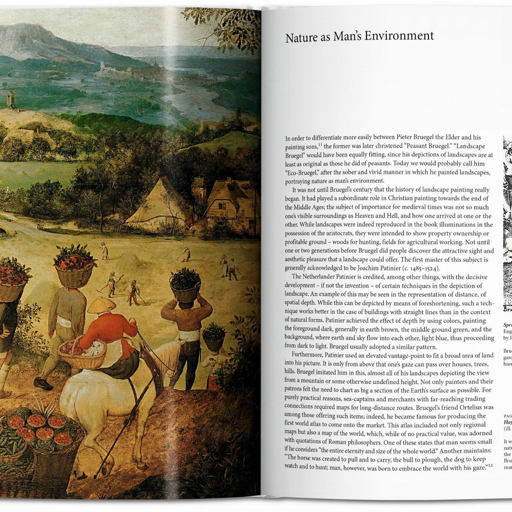 
                      
                        Bruegel (Spanish)
                      
                    