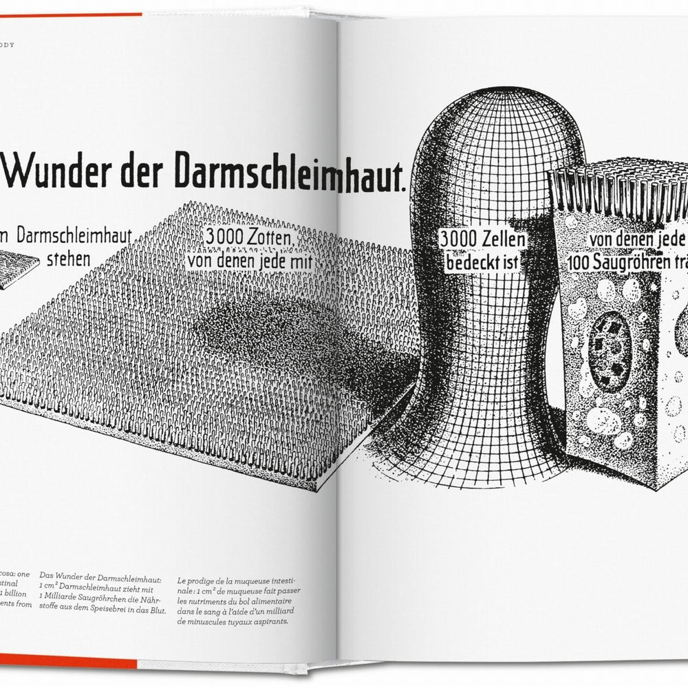 
                      
                        Fritz Kahn. Infographics Pioneer (Spanish, English, Italian)
                      
                    