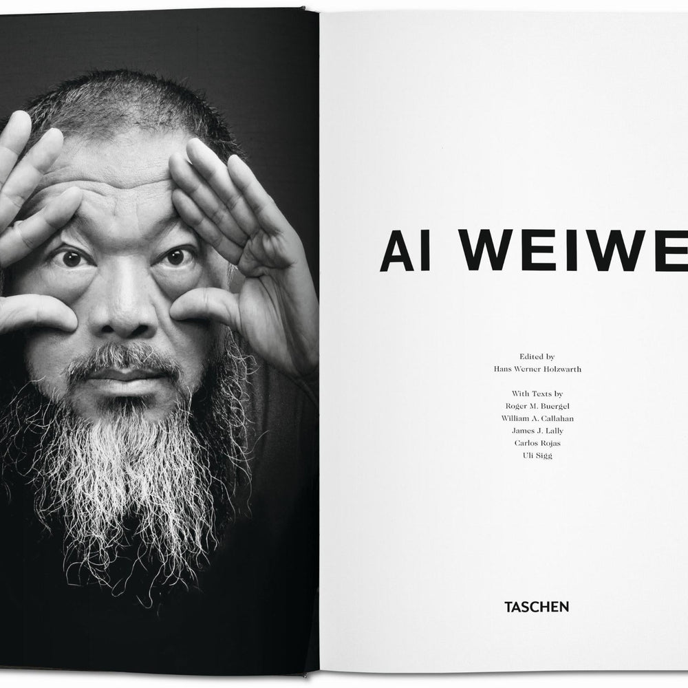 
                      
                        Ai Weiwei (German, French, English)
                      
                    