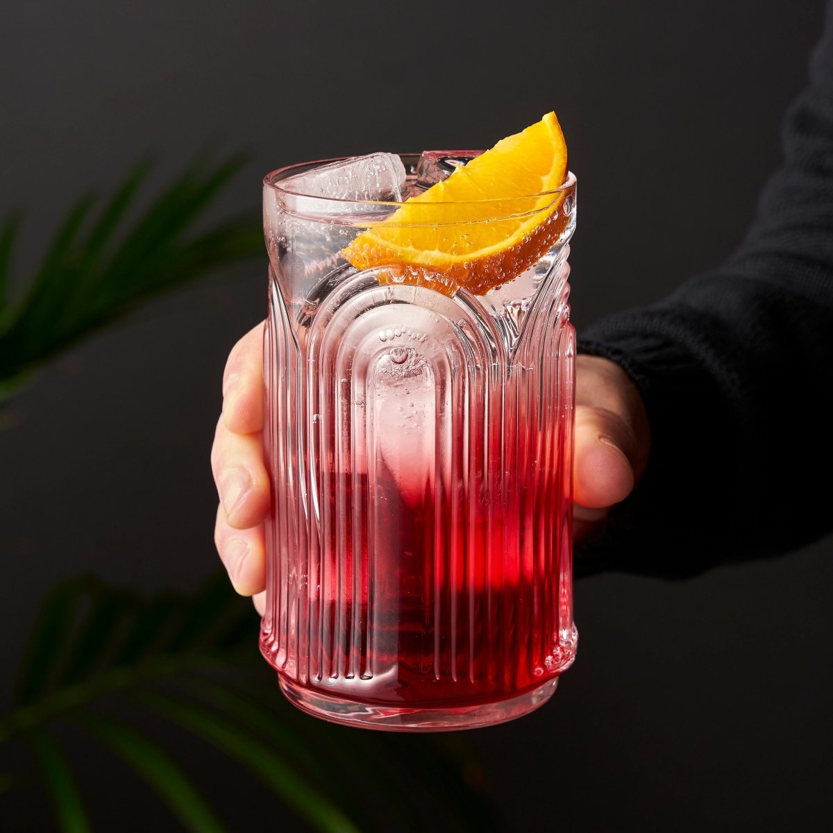 Viski Beau Highball Glasses - lily & onyx
