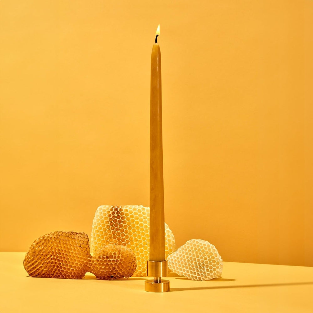 54Celsius Beeswax Taper Candles, 2 pack - lily & onyx