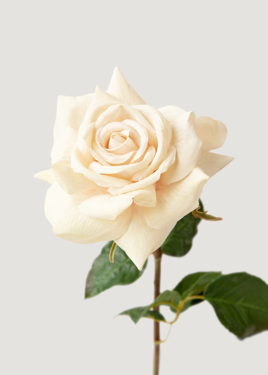 Afloral Beige Real Touch Duchess Rose Fake Flower - 20" - lily & onyx