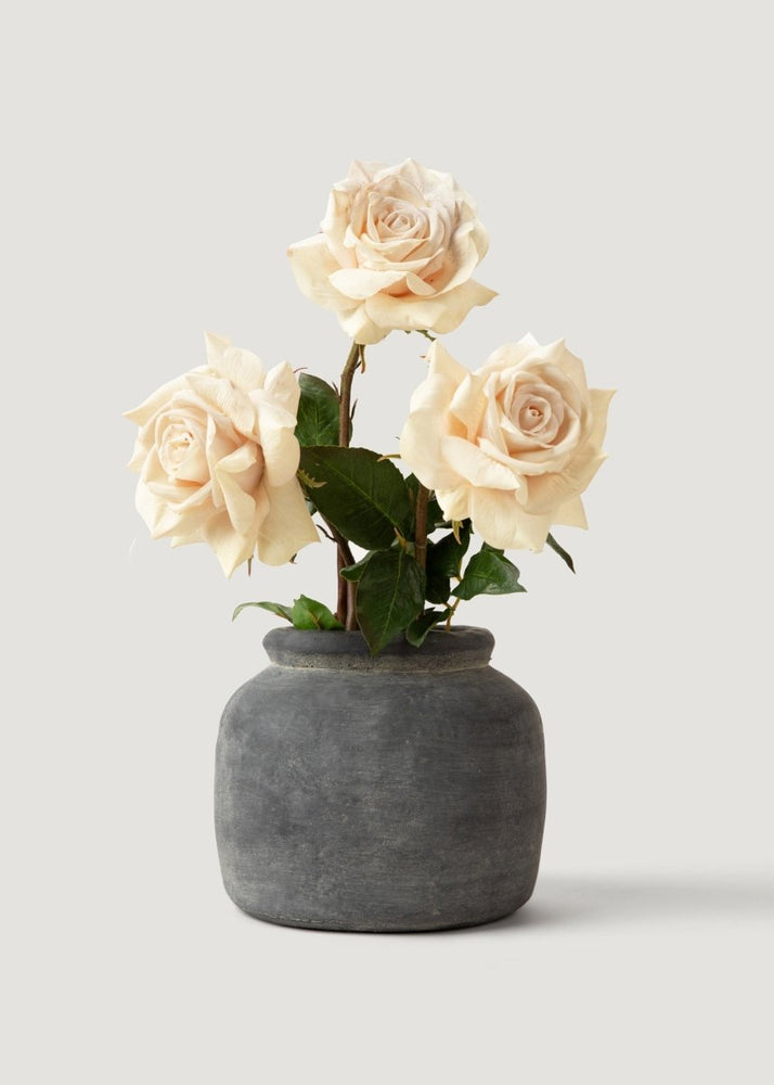 
                      
                        Afloral Beige Real Touch Duchess Rose Fake Flower - 20" - lily & onyx
                      
                    