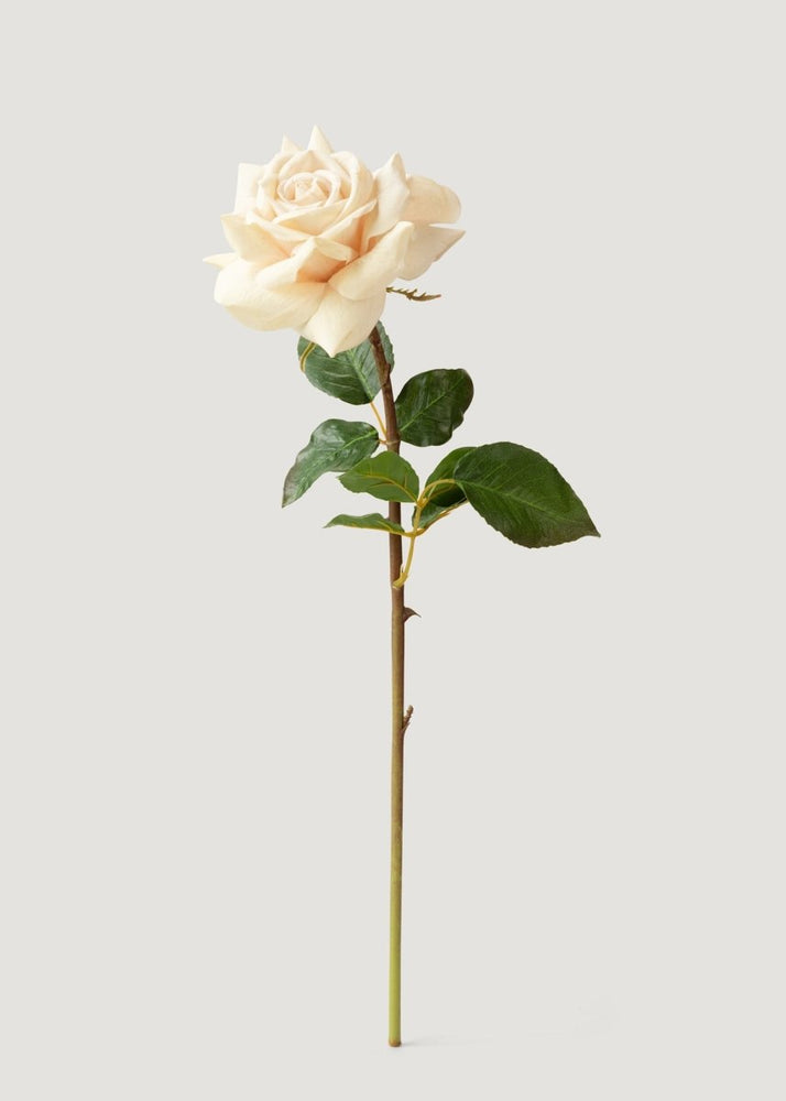 
                      
                        Afloral Beige Real Touch Duchess Rose Fake Flower - 20" - lily & onyx
                      
                    
