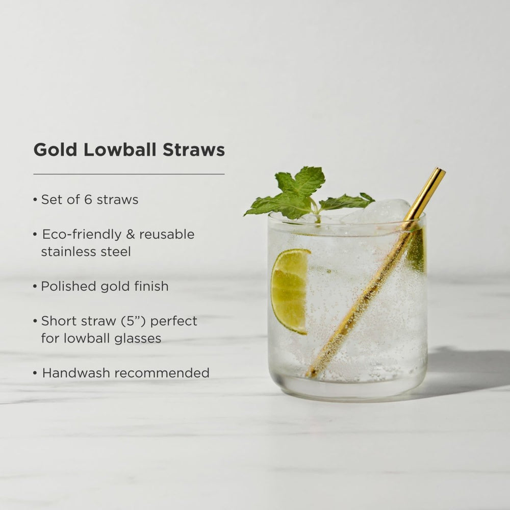 
                      
                        Viski Belmont Lowball Straws, Set of 6 - lily & onyx
                      
                    