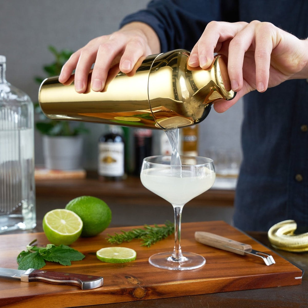 
                      
                        Viski Belmont Parisian Cocktail Shaker - lily & onyx
                      
                    
