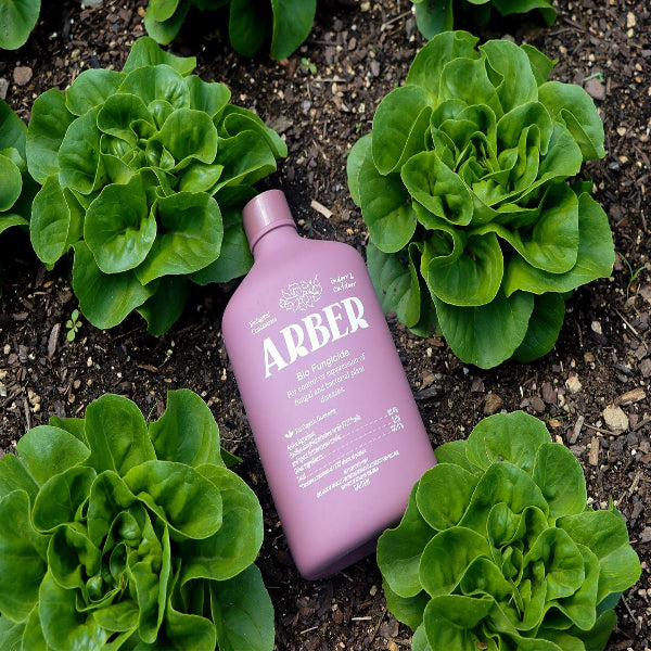 
                      
                        Arber Organic Bio Fungicide
                      
                    