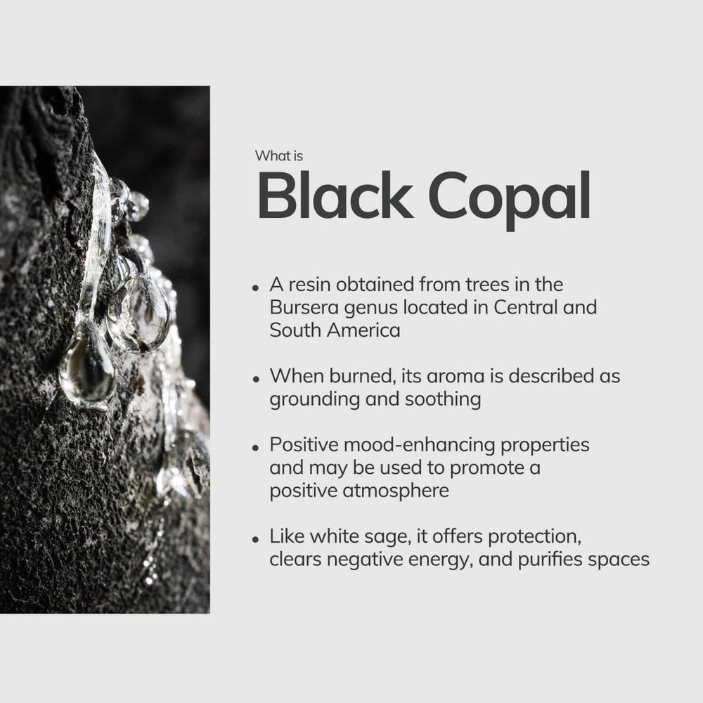 
                      
                        CEDAR AND MYRRH Black Copal Hand - Rolled Mini Incense Sticks – 30 Sticks - lily & onyx
                      
                    