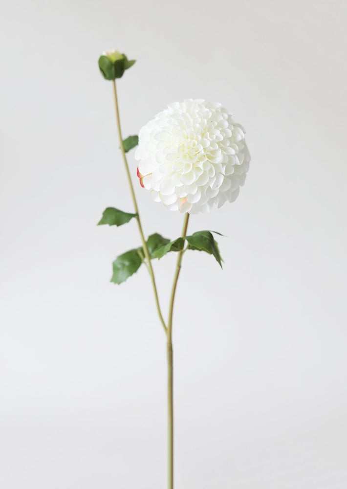 Afloral Blooming Fake Dahlia in White - 31" - lily & onyx