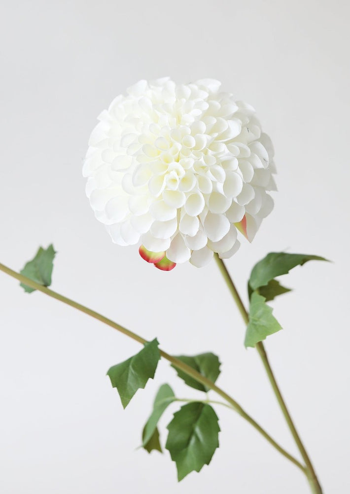 Afloral Blooming Fake Dahlia in White - 31" - lily & onyx