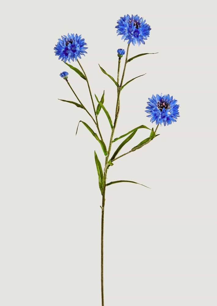 Afloral Blue Faux Cornflower Wildflowers - 25.5" - lily & onyx