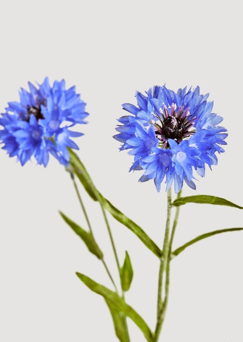 Afloral Blue Faux Cornflower Wildflowers - 25.5" - lily & onyx