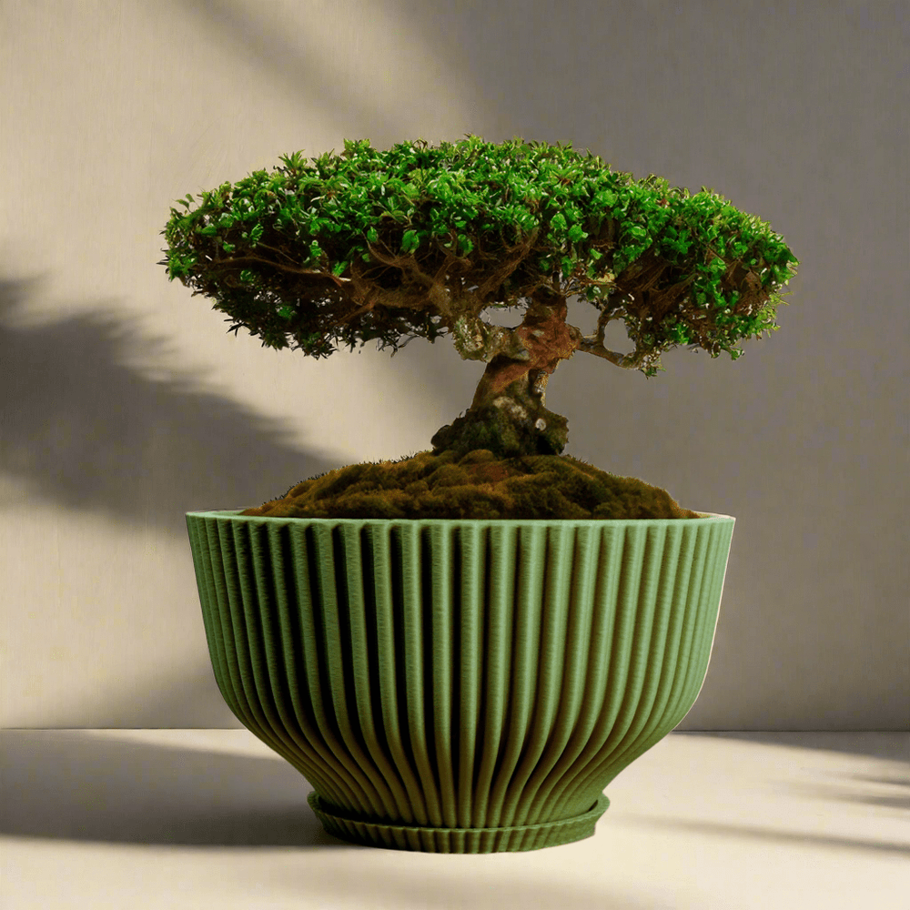 
                      
                        Rosebud HomeGoods Bonsai Pot with Drainage and Saucer - lily & onyx
                      
                    