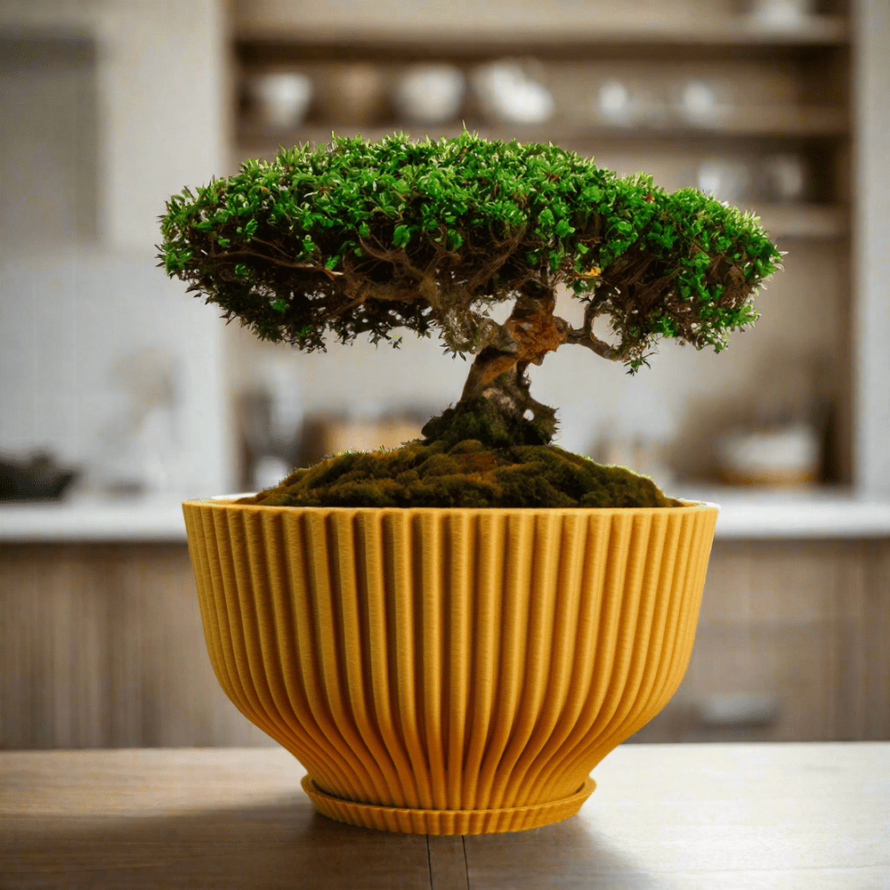 
                      
                        Rosebud HomeGoods Bonsai Pot with Drainage and Saucer - lily & onyx
                      
                    