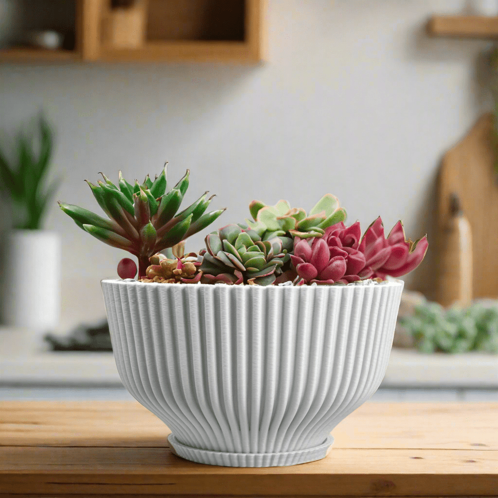 
                      
                        Rosebud HomeGoods Bonsai Pot with Drainage and Saucer - lily & onyx
                      
                    