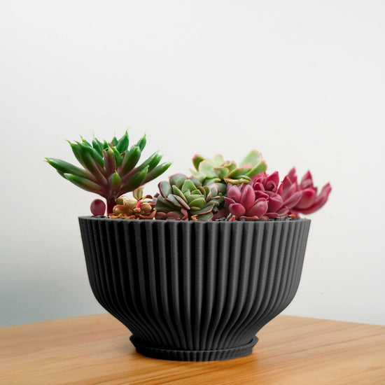 Rosebud HomeGoods Bonsai Pot with Drainage and Saucer - lily & onyx